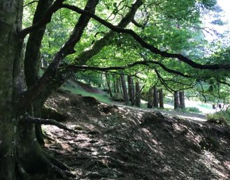 Glendalough, Ireland