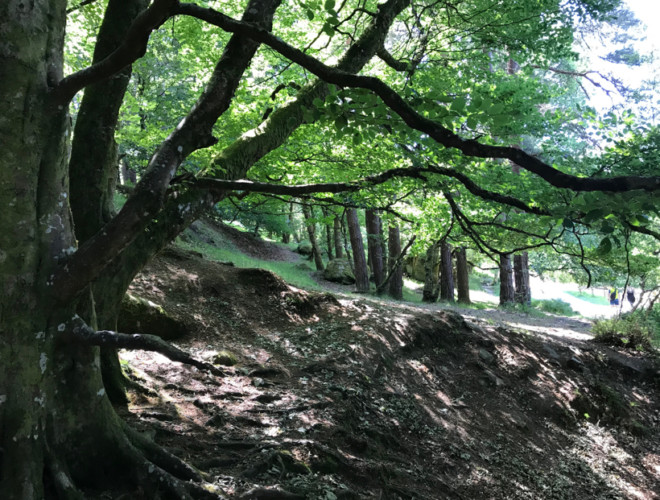 Glendalough, Ireland