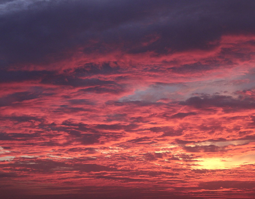 Finding Comfort in the Beauty of the Sky – A Poem by Linda (Peaches) Tavani