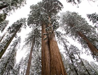 Brian Biery Photography National and State Parks 2022 Calendar